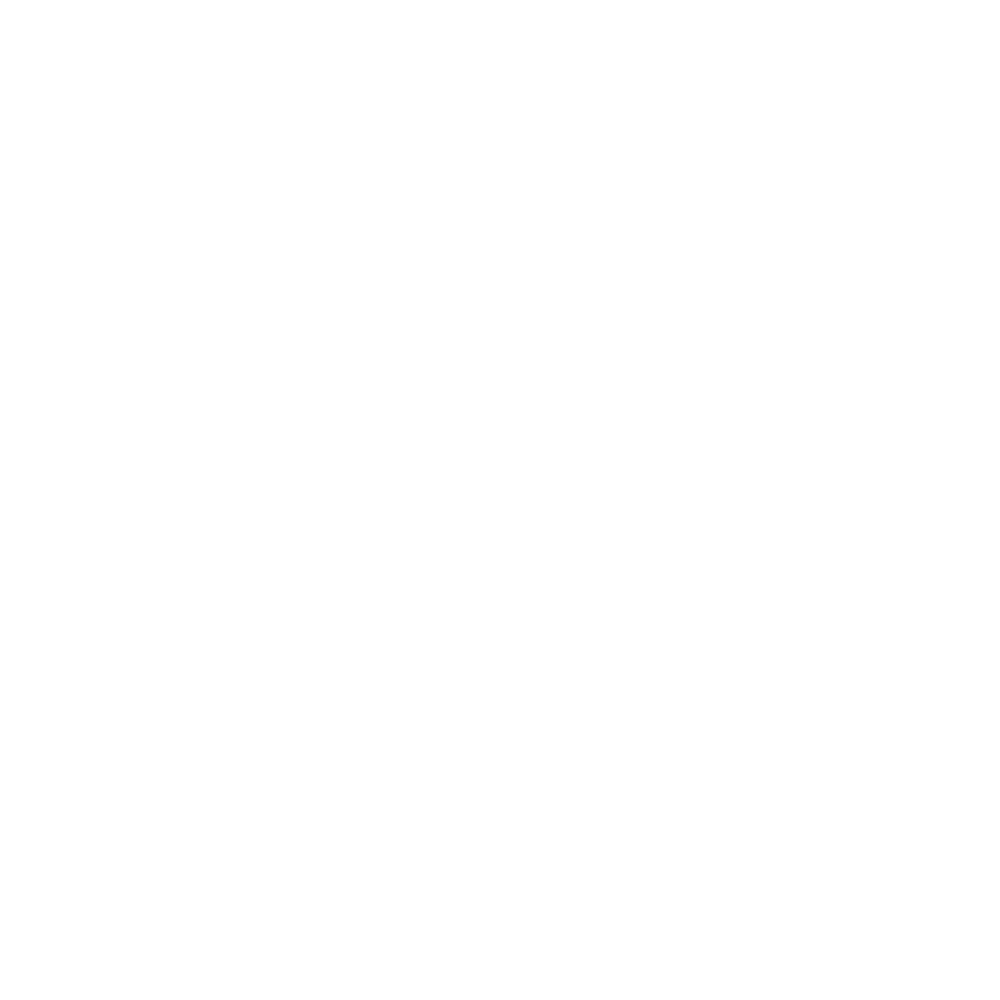 Joy POINT logo bianco c/b