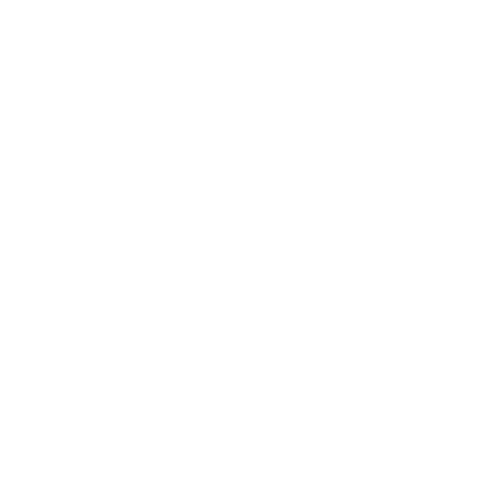 Joy SUMMER CAMP logo bianco c/b